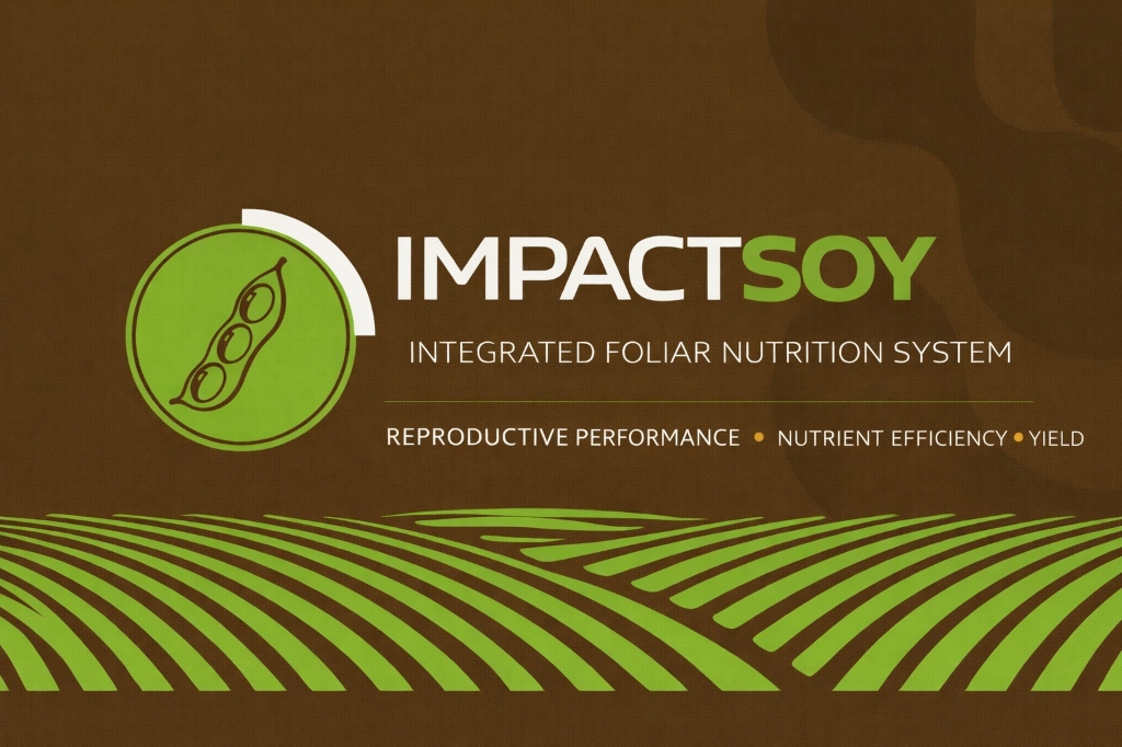 ImpactSoy
